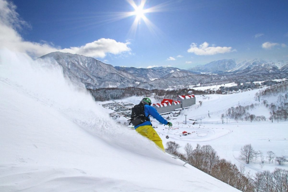 Hakuba Cortina