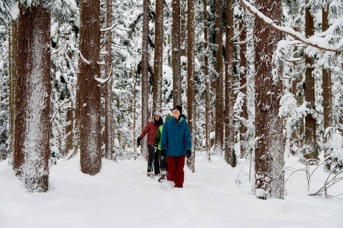 Nozawa Winter Activities