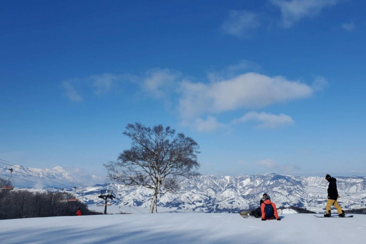 Nozawa Snowsports School